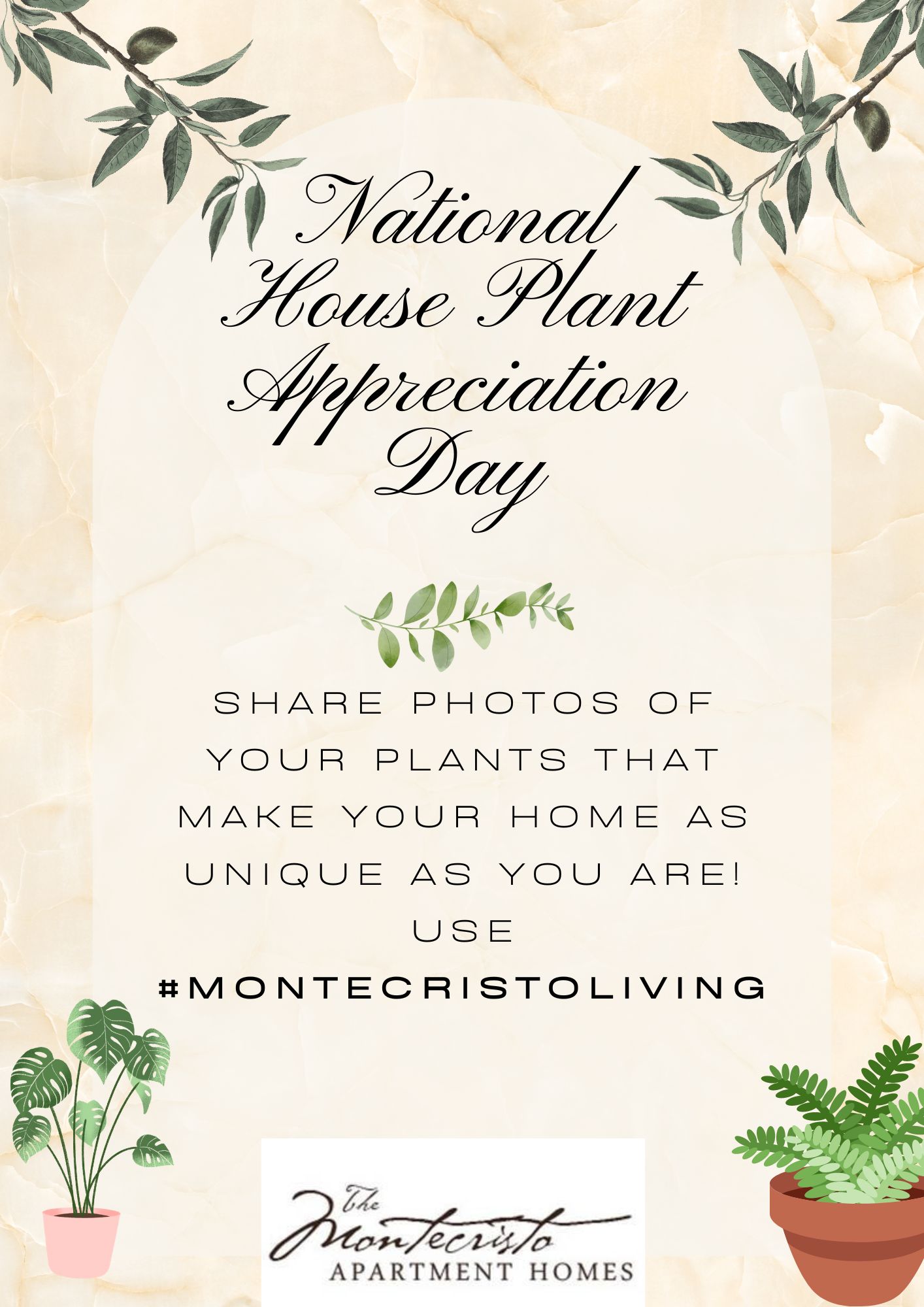 Celebrate National House Plant Appreciation Day in the luxurious Montecristo Apartments located in the prestigious Stone Oak neighborhood of San Antonio.